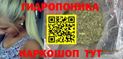 Альфа ПВП Владивосток