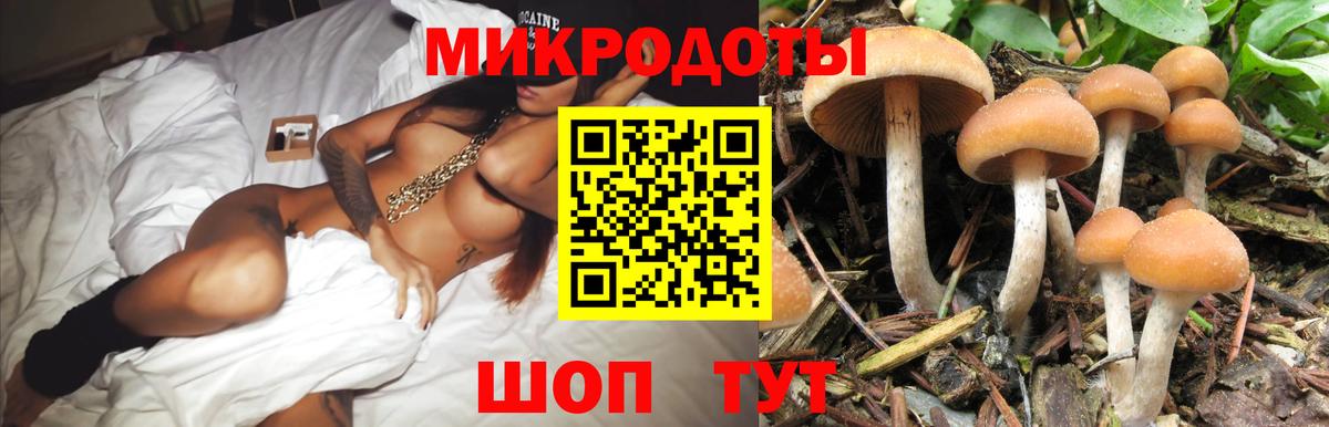 Псилоцибиновые грибы мицелий  Вход с VPN  наркота  Ивантеевка 